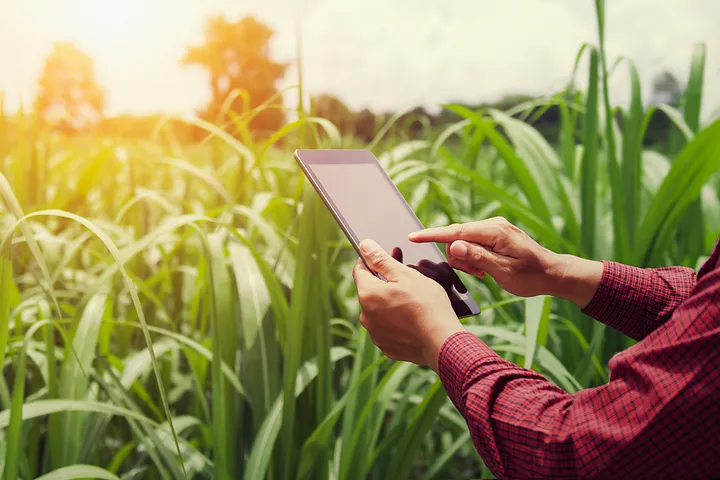 The Growth of AgriTech Startups